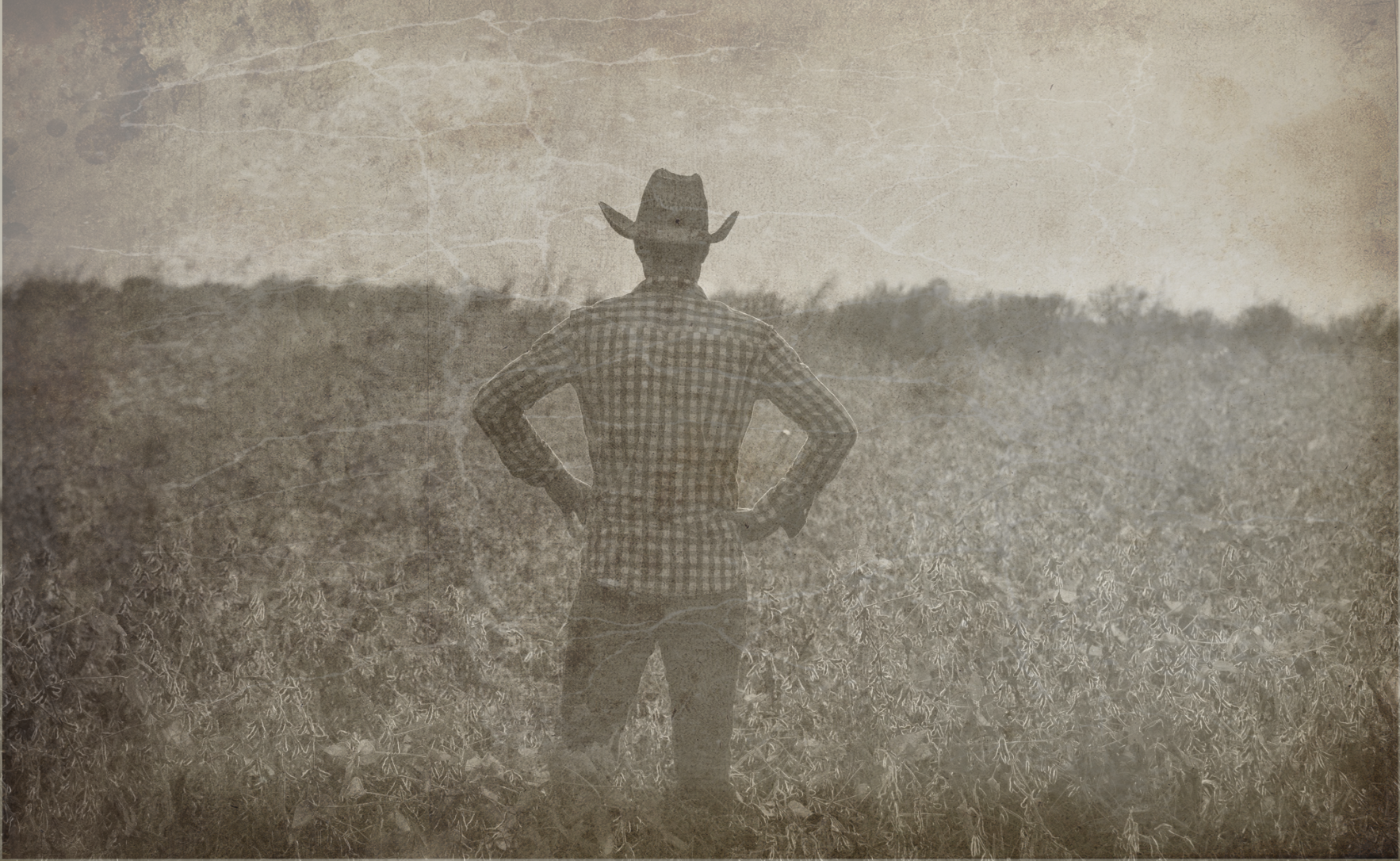 Man with cowboy hat looking into field.